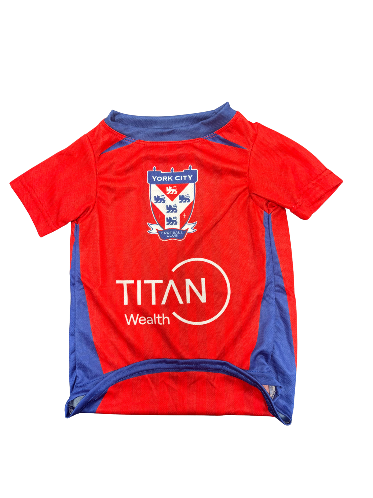 2026/27 Home Style Dog Shirt image 0
