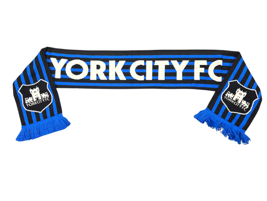 Blue And Black Stripe Scarf image 0