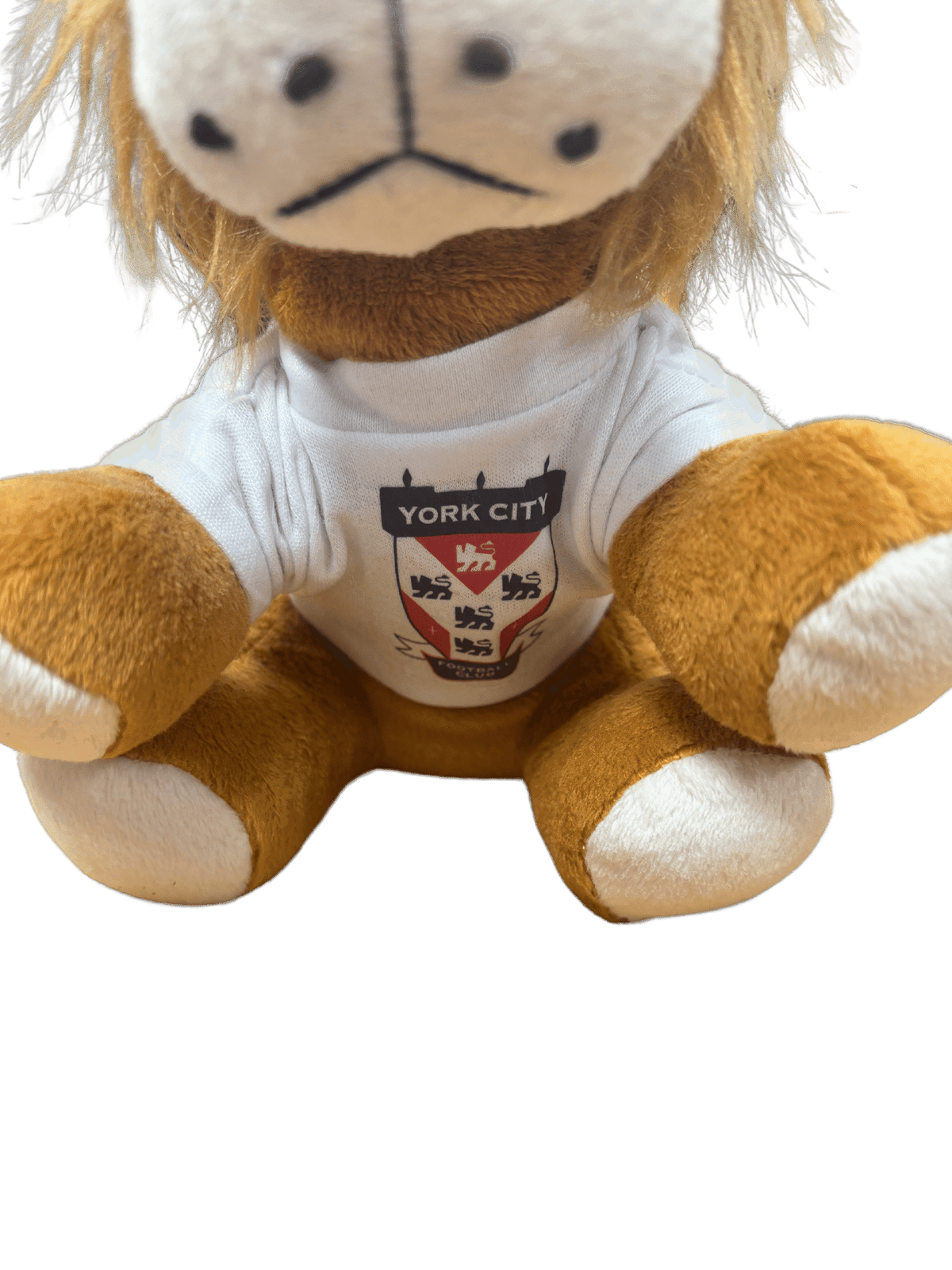 Yorkie Cub Teddy image 1