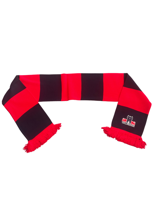 Red And Blue Bar Scarf