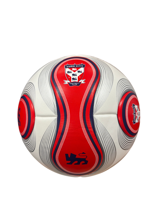 Crest And Lion Design Size 5 Football image 0