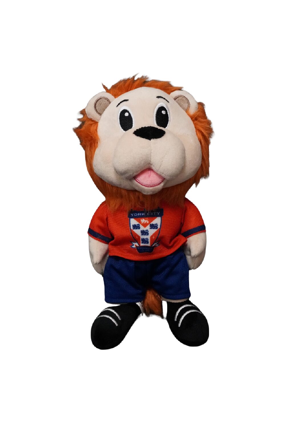 Yorkie The Lion Teddy image 0